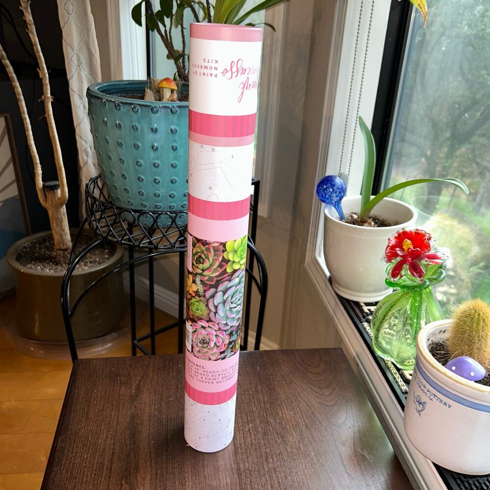 New Sensitive Succulents paint by number kit from Pink Picasso